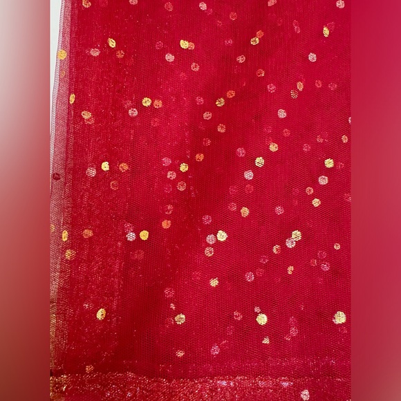 Fancy net dupatta - Picture 3 of 6